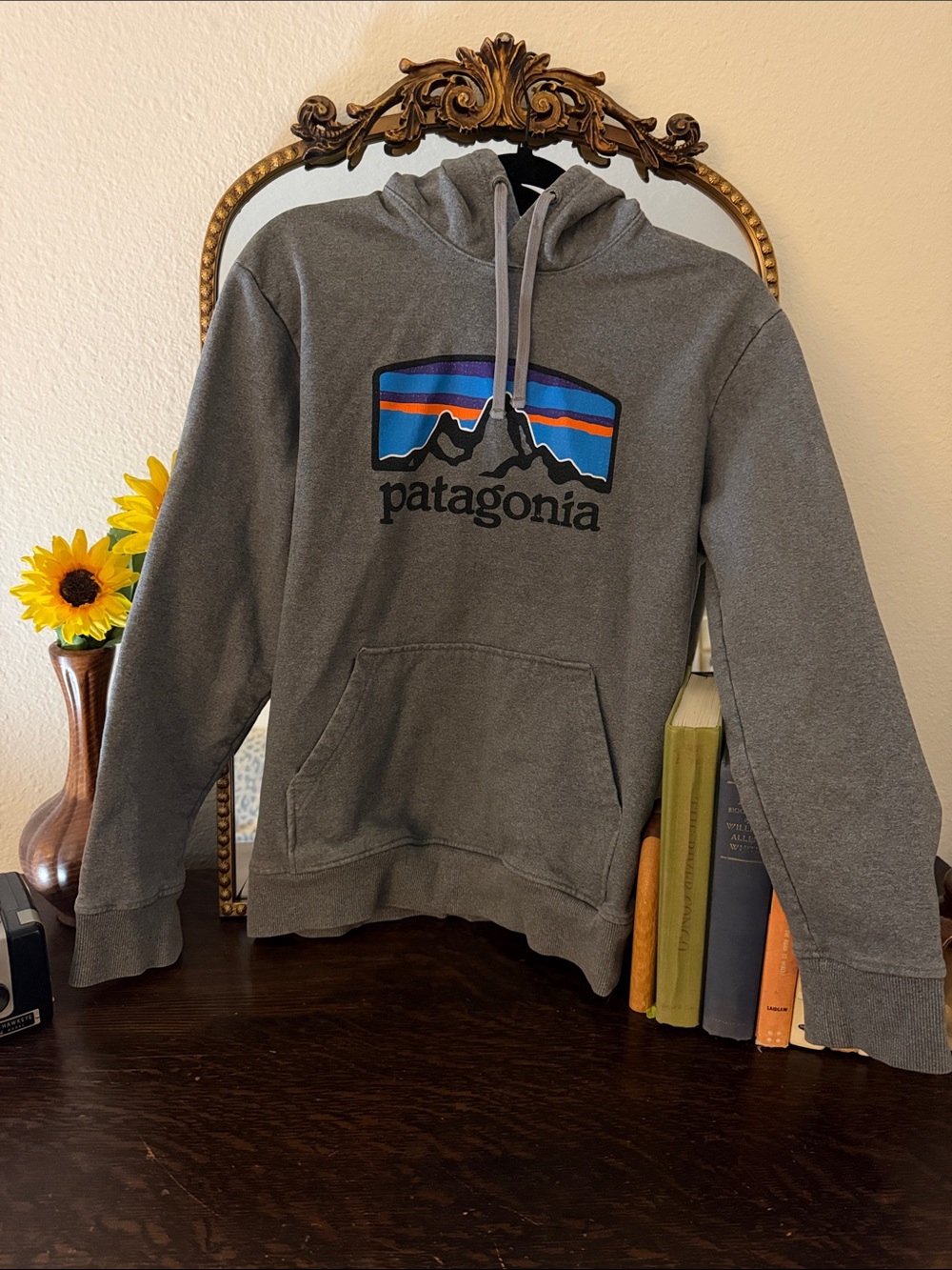 Patagonia Gray Hoodie with Multicolor Mountain Logo